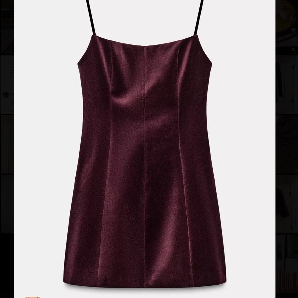 Zara Short Voluminous Velvet Dress